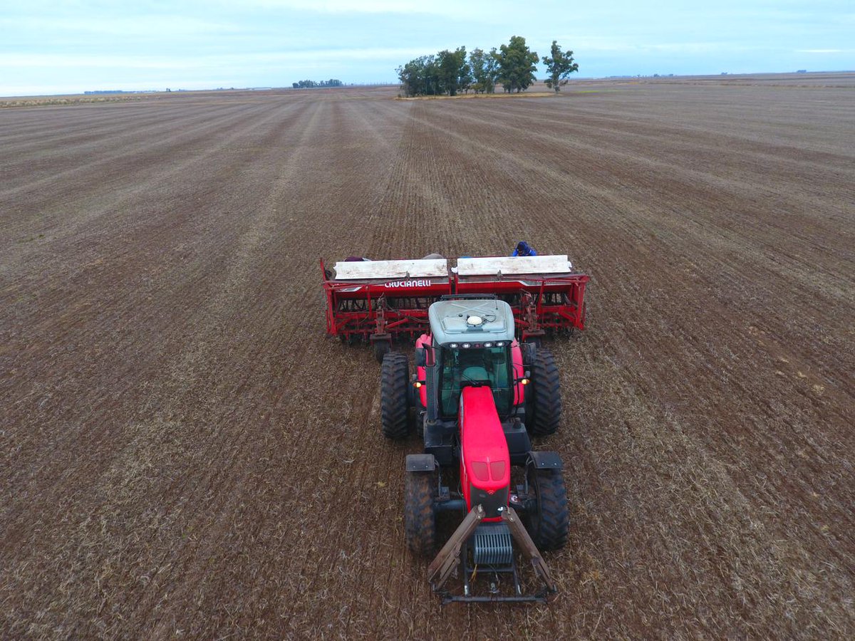 DONMARIOoficial's tweet photo. Ensayo comparativo de rendimiento ambientado de #trigo 🌾 en Piedritas, Provincia de Buenos Aires. Variedades comerciales cruzando ambientes, tratamientos de densidad de siembra y fertilizacio✅
🗓 Fecha de siembra: 17/6.
🏠Distribuidor: @pelayoagronomia
#TrigoDM https://t.co/QzZYvx1yoB