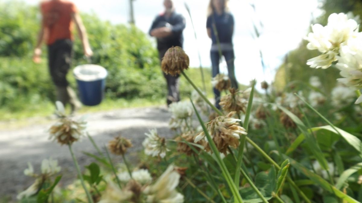 In the latest edition of the Good Food Ireland® Magazine <a href="/_melaniemay/">Melanie May</a> charts the rise of foraging in Ireland, speaking with foraging enthusiasts and provides tips for 1st time foragers

bit.ly/3zD5oiI

<a href="/mistereatgalway/">Dr. Jp McMahon</a> <a href="/woodruffdublin/">Woodruff</a> <a href="/thewildirish/">The Wild Irish 🇮🇪</a> <a href="/chefSimonW/">Simon Williams</a> <a href="/Macreddin/">The BrookLodge</a>