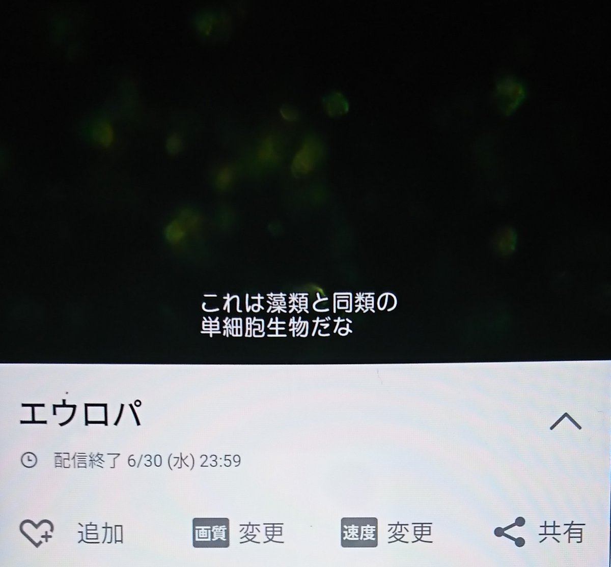 エウロパ 映画 最新情報まとめ みんなの評価 レビューが見れる ナウティスモーション