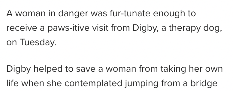 deadeyebrakeman's tweet photo. I am OBSESSED with how inappropriate these puns are for this article https://t.co/yJnMngz3H1