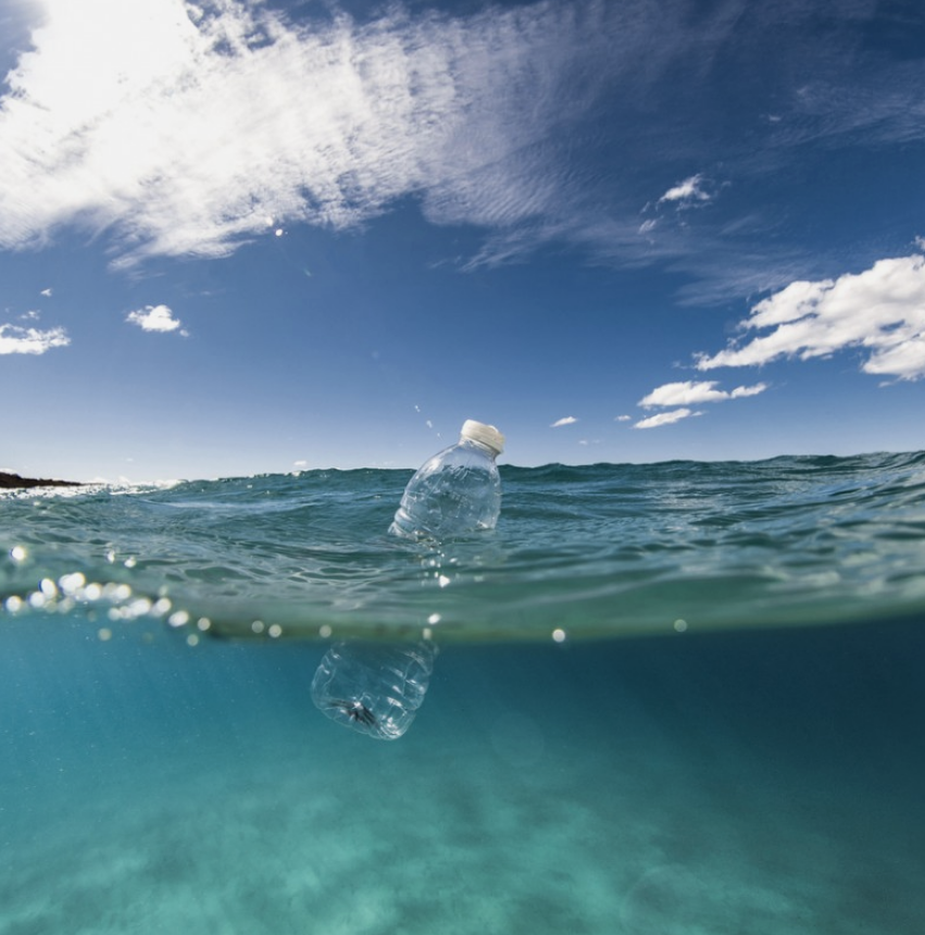 Check out these amazing documentaries for some eco-education this week ~
🌱 David Attenborough’s A Life On Our Planet
🌱 A Plastic Ocean
🌱 Minimalism: A Documentary About The Important Things
Know any other great environmental documentaries worth a watch? Share them below!