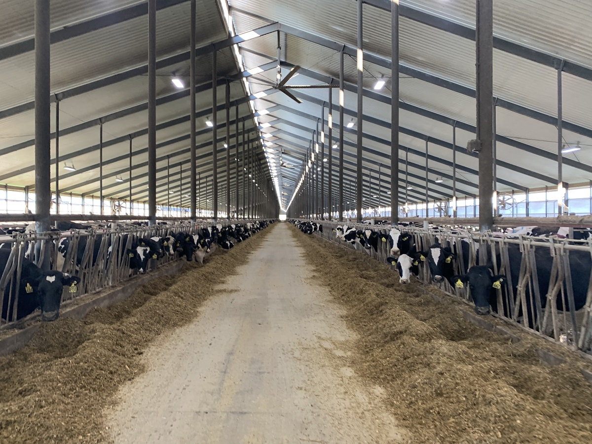 Here are a few things to consider when feed costs rise.
<a href="/PDmag/">Progressive Dairy</a> "Evaluating feed costs during times of high commodity prices" bit.ly/3xz1QfE 
And don't forget to check out the ICC™ index - the only index to include Feed Efficiency.