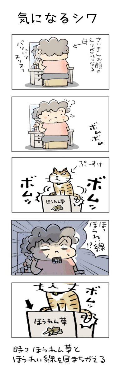 気になるシワ
#こんなん描いてます
#自作マンガ #漫画 #猫まんが 
#4コママンガ #NEKO3 