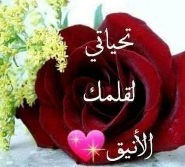 وردة الياسمين on twitter gl65o م ن قال إني من جمال ك أكت ف ـي ياموقدا ف ي القلب جم ـرت لهف ـي ف ي كل يـوم أست ع يـد ص لابت ـي وأع يـد ترت يبـي وحسـن ت ص ر ف ـي وأقول ف ـي ن فس ـي ك فـاك تذ ل ـل ا لم دل ل م تع ج ــرف م تف لف