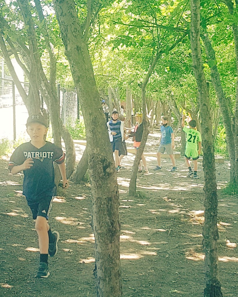 MadameRand's tweet photo. Where the wild things are... The kids call it 'the forest' 💕 and it is one of the best parts of our playground. https://t.co/fiLzbRNw2g