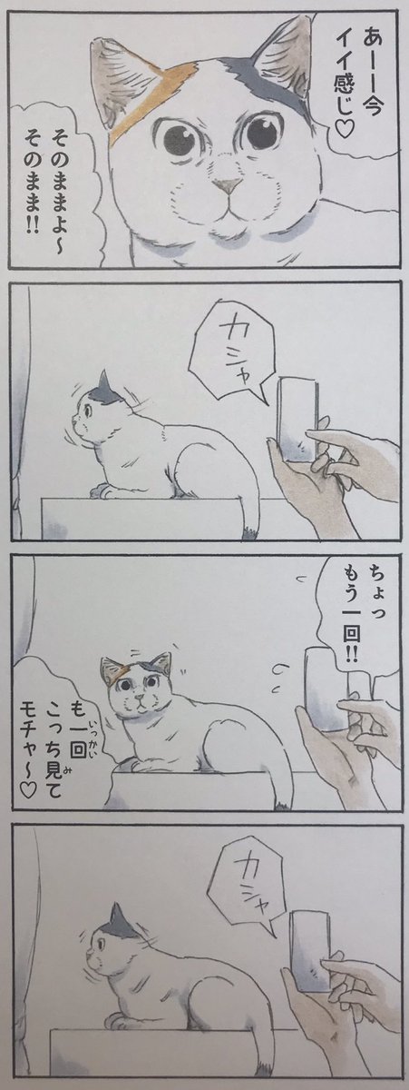 『拾い猫のモチャ』2巻収録 