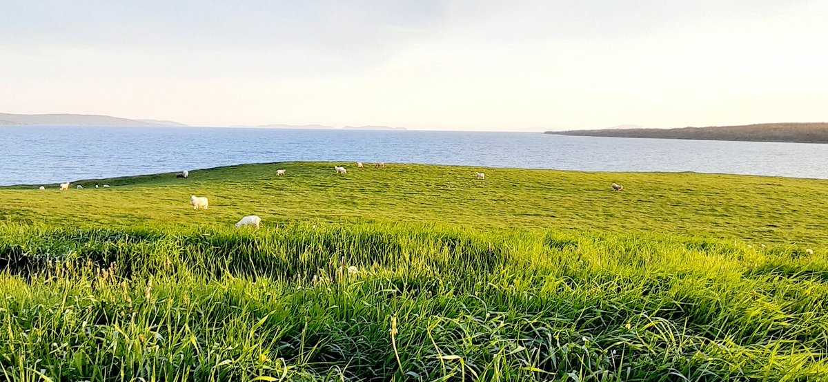 HaricotFarms's tweet photo. After a busy day getting ready for @sjfmnl tomorrow, we take a moment to sit back and take in the beauty of our province. See you tomorrow. #newfoundlandandlabradortourism #nl #inourownbackyard #supportlocal https://t.co/WxhsW149RX