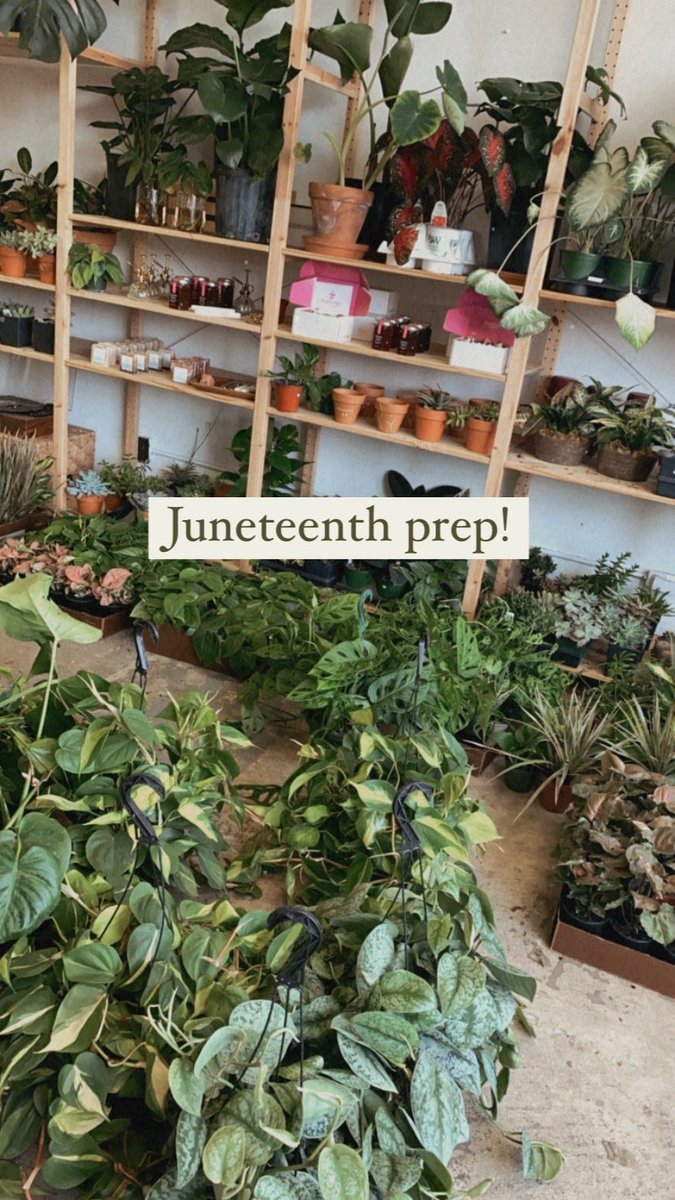 We are so excited to celebrate with y’all tomorrow ! We restocked the store with hundreds of plants 💚
