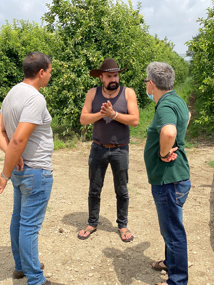 Dr. Serge Zaka (Dr. Zarge) tweet media