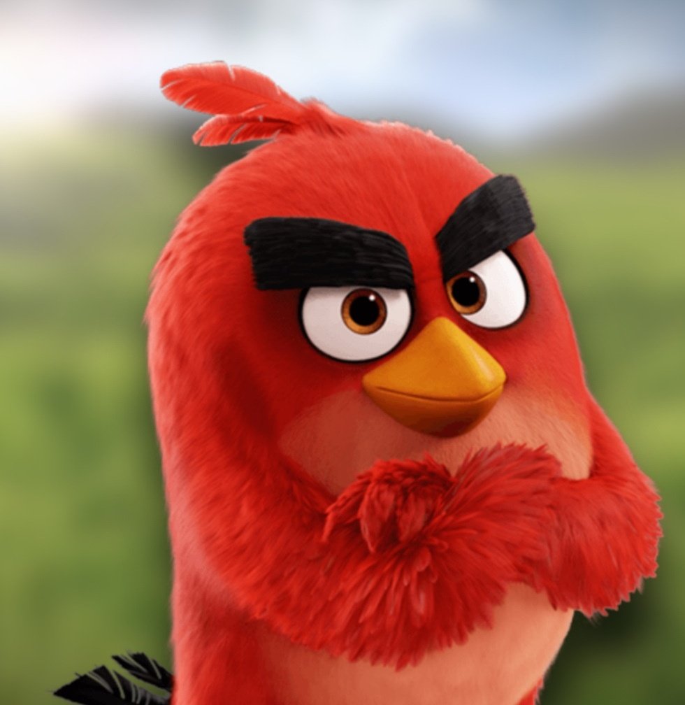 Angry Birds Facts • on Twitter: 