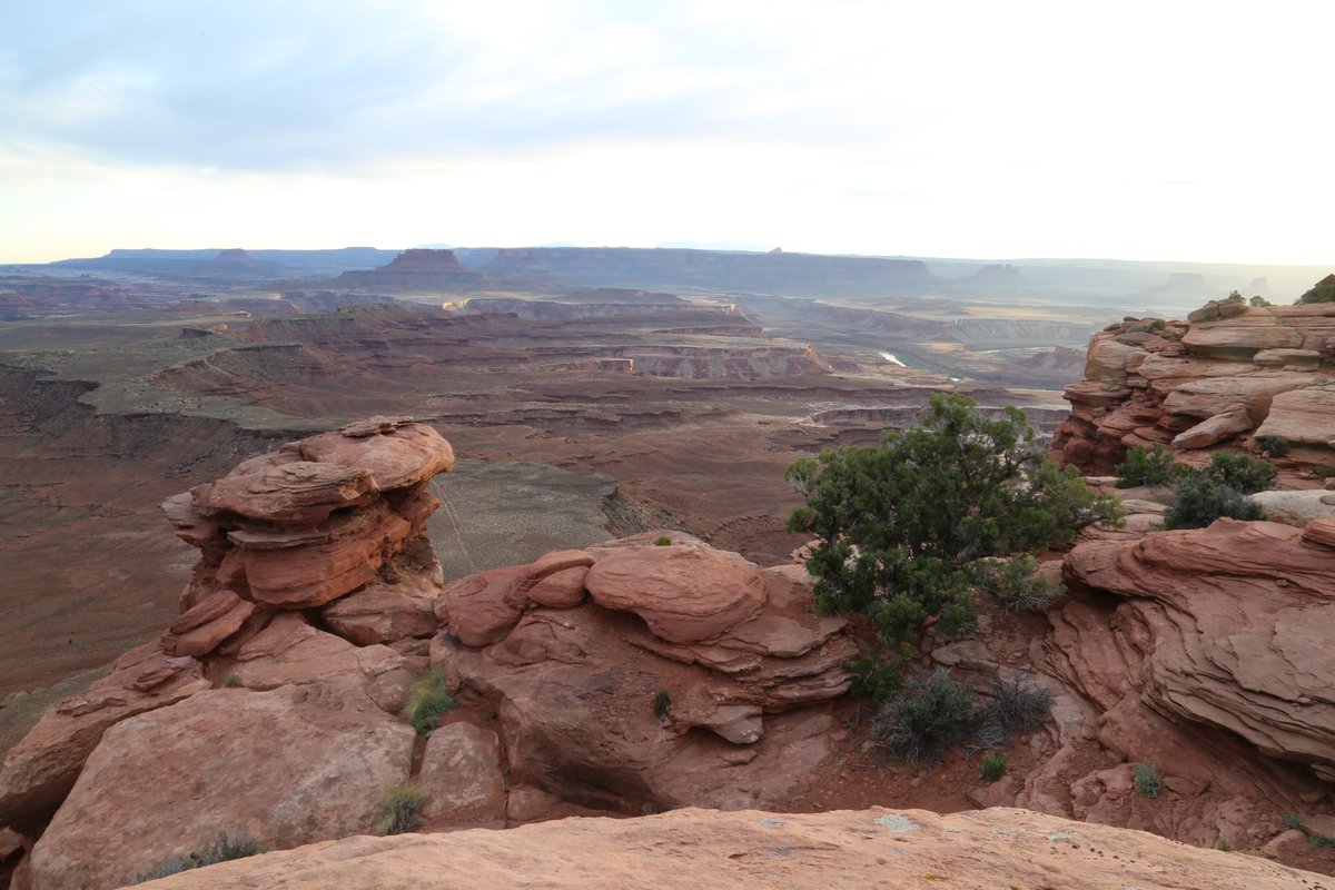 Todd Nystrom tweet media