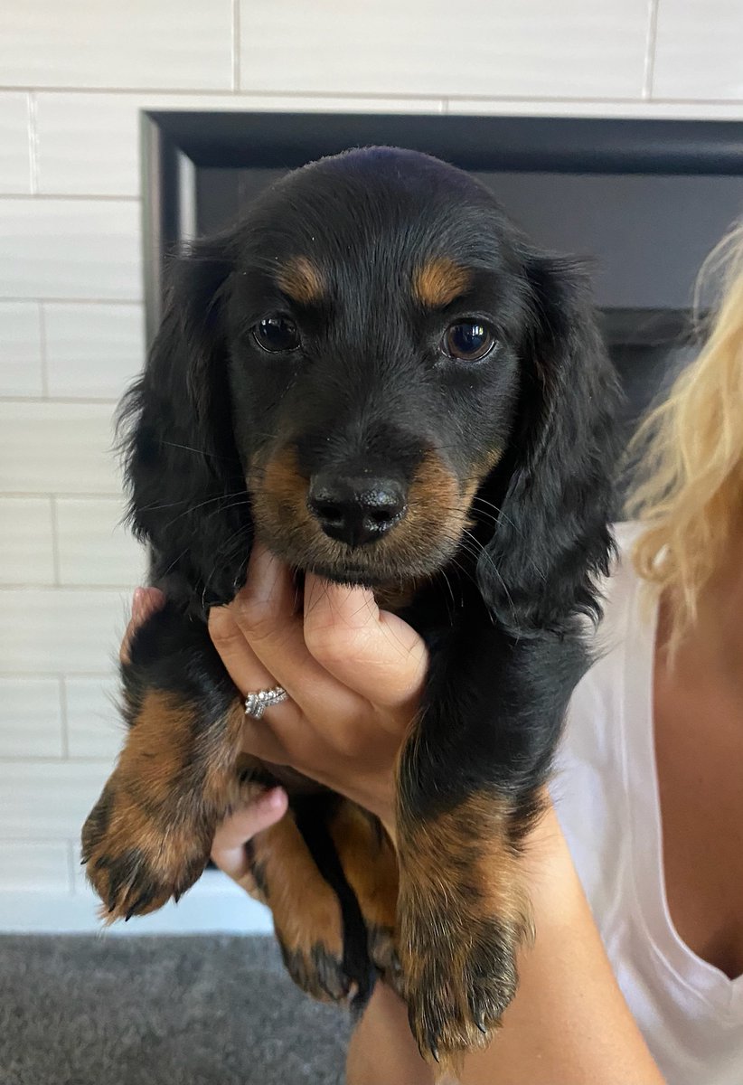 Welcome to our family, Oakley! ❤