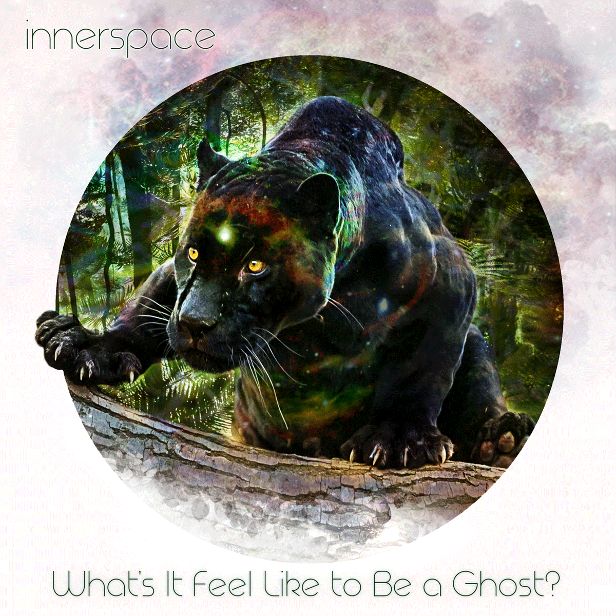 Our first ever cover song, "What's It Feel Like to Be a Ghost" by <a href="/TBSOfficial/">Taking Back Sunday</a>, will be out 7/9/21. 
Presave the song on Spotify: distrokid.com/hyperfollow/in…

#innerspace #takingbacksunday #progressiverock #emo #emorock <a href="/AdamDamnLazzara/">adam b lazzara</a> <a href="/JohnNolanMusic/">MC Hammer Jr.</a>