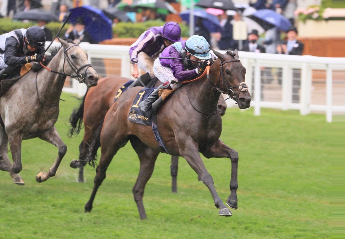 coolmorestud's tweet photo. Cause For Celebration As Alcohol Free Wins Coronation Stakes.
Alcohol Free (3f No Nay Never - Plying, by Hard Spun) returned to her best at Royal Ascot... https://t.co/hkhCPCamCj https://t.co/H89YE12rdF