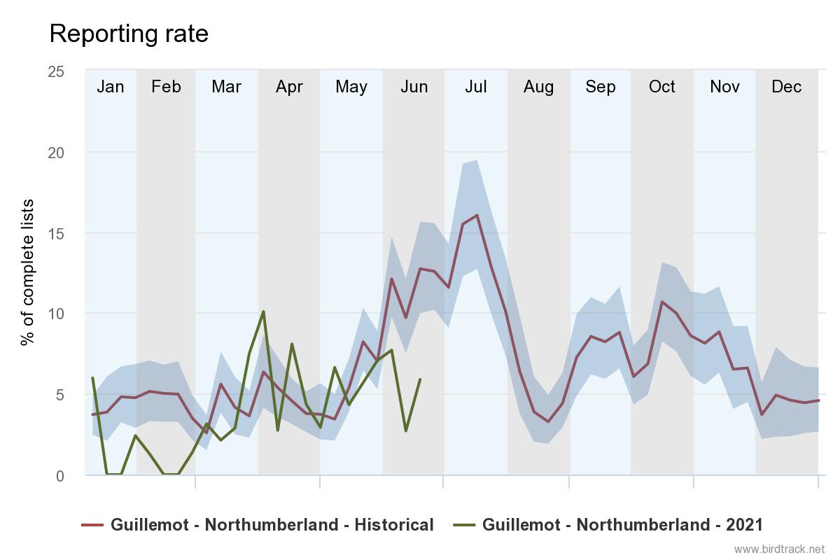 Guillemots are one of three auk species breeding on the Northumberland coast. The first jumpings (guillemot chicks) are starting to fledge from the Farne Islands. They are called 'jumplings' as they jump from their cliff nest sites into the sea when they are ready to fledge.