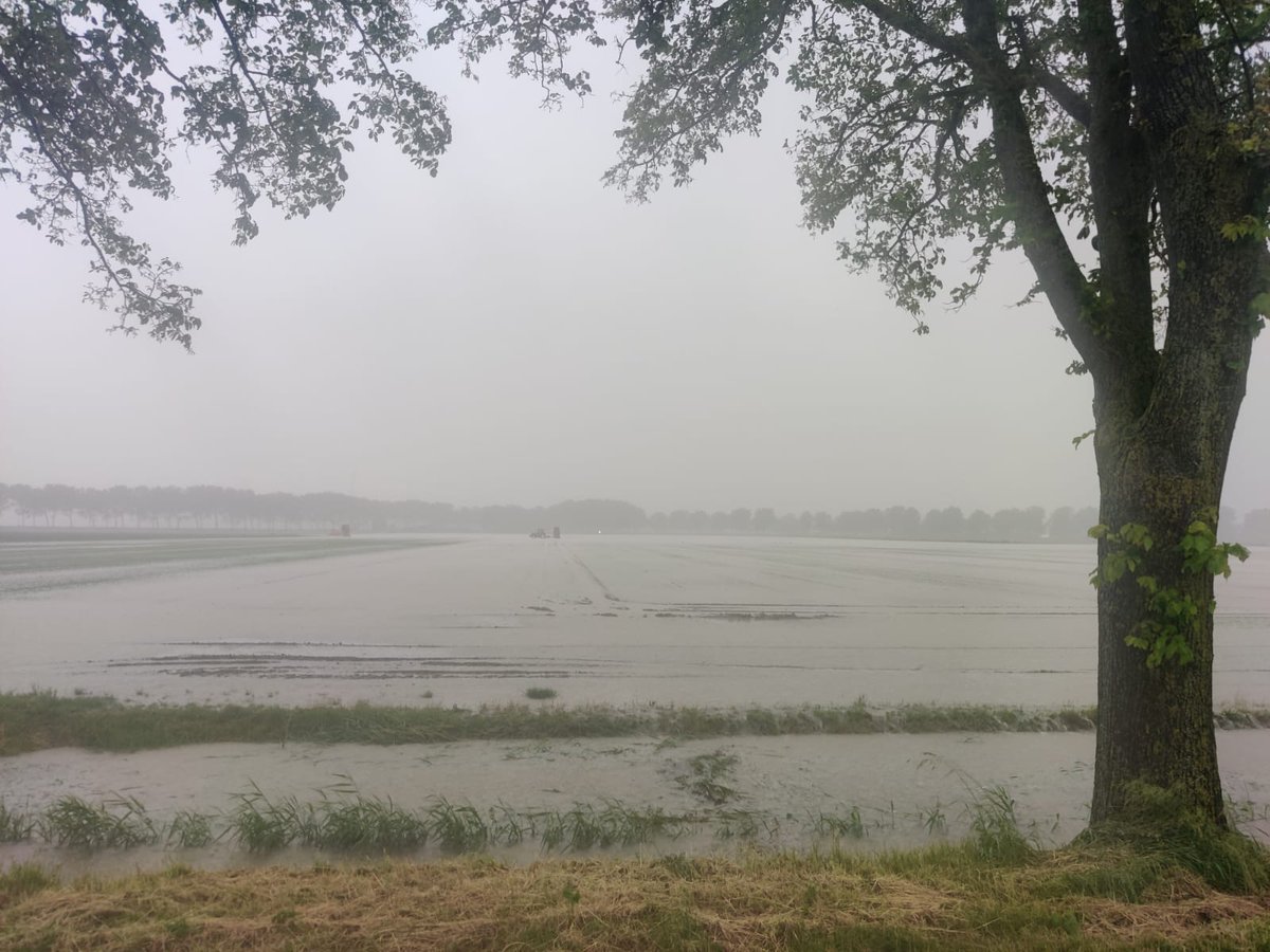 Ruim 100 mm in een paar uur op de proefvelden... pompen of verzuipen