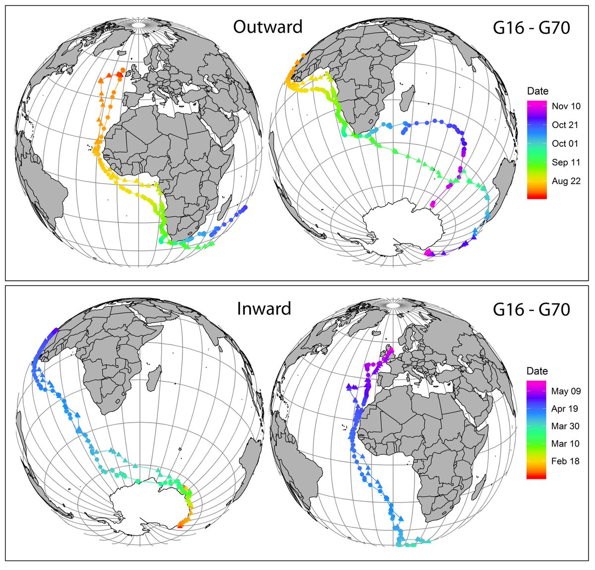 It’s official: Arctic Tern pairs split up after breeding and only get together again at the colony next year (if not late) doi.org/10.1186/s40657…