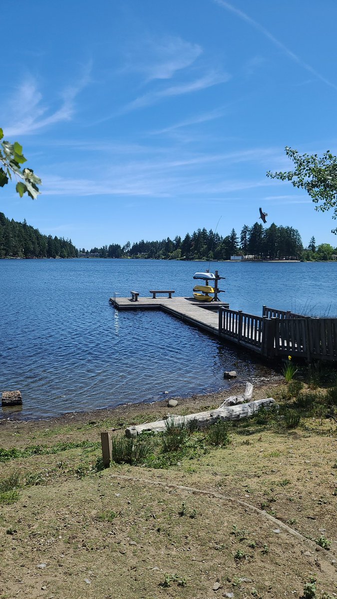 Well, it feels like summer with all this sunshine. We have put our fleet back in the water. Kayak and paddleboaed rentals available daily from 10am to 6pm daily.