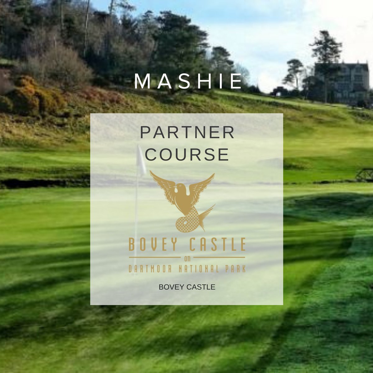 MASHIE Golf tweet media