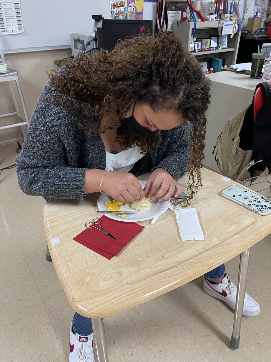 RealRobRobledo's tweet image. Summer School @BelAirHigh Continues with Acceleration, EOC Support, TSTEM/HP Camps and a Whole Lot of Heart! 

Fridays are Always Fun When We #LeadWithLove ❤️‍🔥 and Our Campus Focuses on Student Outcomes and Tailored Instruction.

#ONERED ❤️💙🏫
#TheDistrictOfChamp1ons ❤️🖤