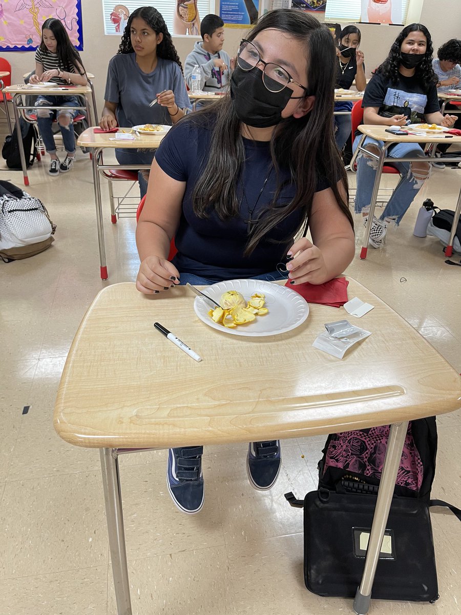 RealRobRobledo's tweet image. Summer School @BelAirHigh Continues with Acceleration, EOC Support, TSTEM/HP Camps and a Whole Lot of Heart! 

Fridays are Always Fun When We #LeadWithLove ❤️‍🔥 and Our Campus Focuses on Student Outcomes and Tailored Instruction.

#ONERED ❤️💙🏫
#TheDistrictOfChamp1ons ❤️🖤