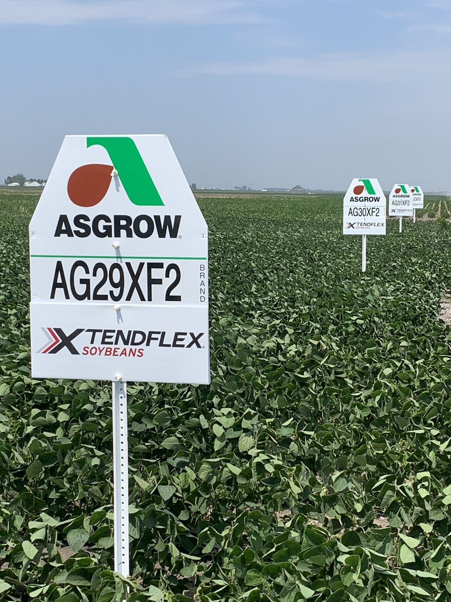 Today would have been a better day to fly a kite, rather than put up field signs in @DKAS_WCIL 💨🪁But when you’ve got a great set of early <a href="/RRXtend/">@RRXtend</a> beans for 2022, you want to show them off. Checkout <a href="/NutrienAgRetail/">Nutrien Ag Solutions</a> Jacksonville’s location throughout this growing season.