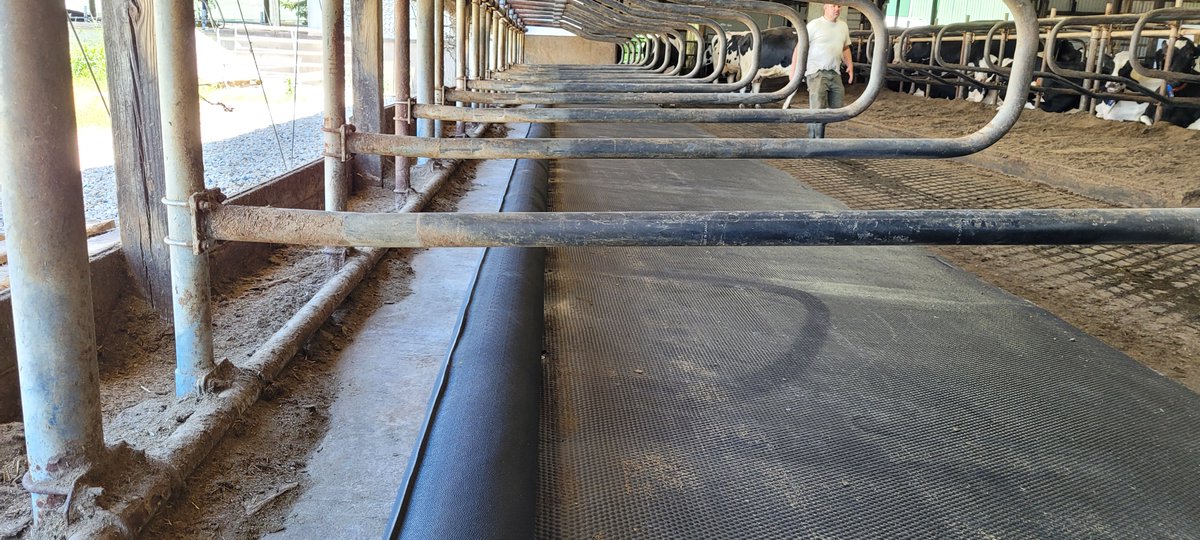 Bioret_Agri's tweet photo. 📷🐄Earlier this week we installed #Bioret Agri Aquaboard water brisket + Dairy Scratchy rubber cow brushes at Clovermead farms! 
Installation by @ConestogoAgri @BenHennessy10 👏
Trauma-free brisket that is cow friendly, adjustable and can be used in any stall design. #cowcomfort https://t.co/SD2qEINJIx