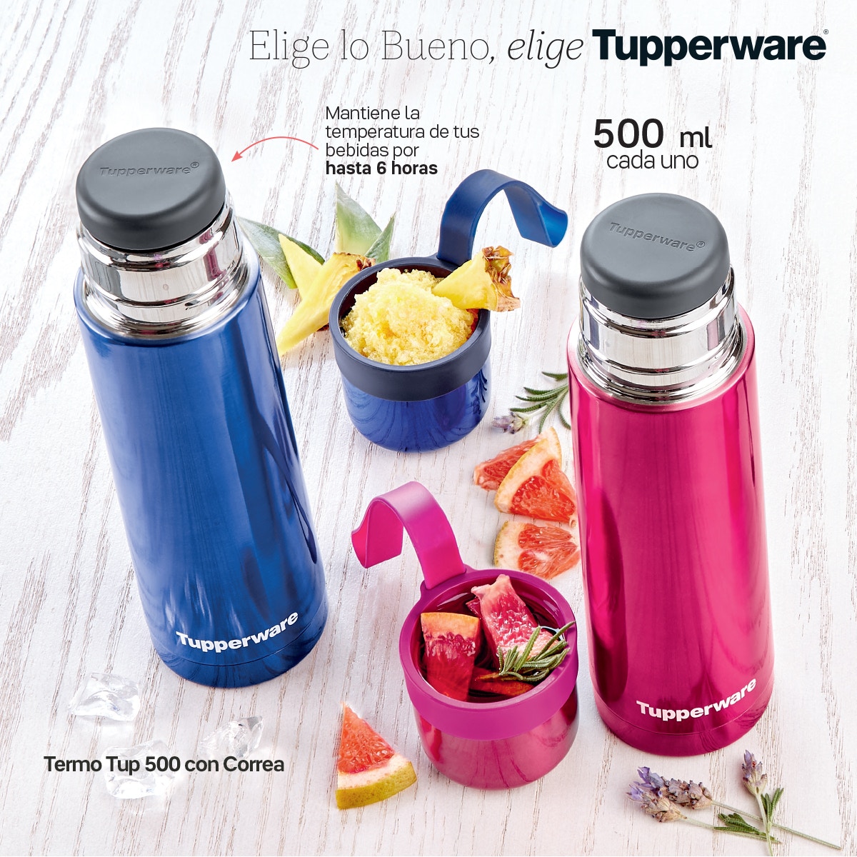 cancun_ventas's tweet photo. #EnmiTupperwareporfa #SomosTupperware https://t.co/WXI1cFzTu2? https://t.co/sEbyz0tBlm