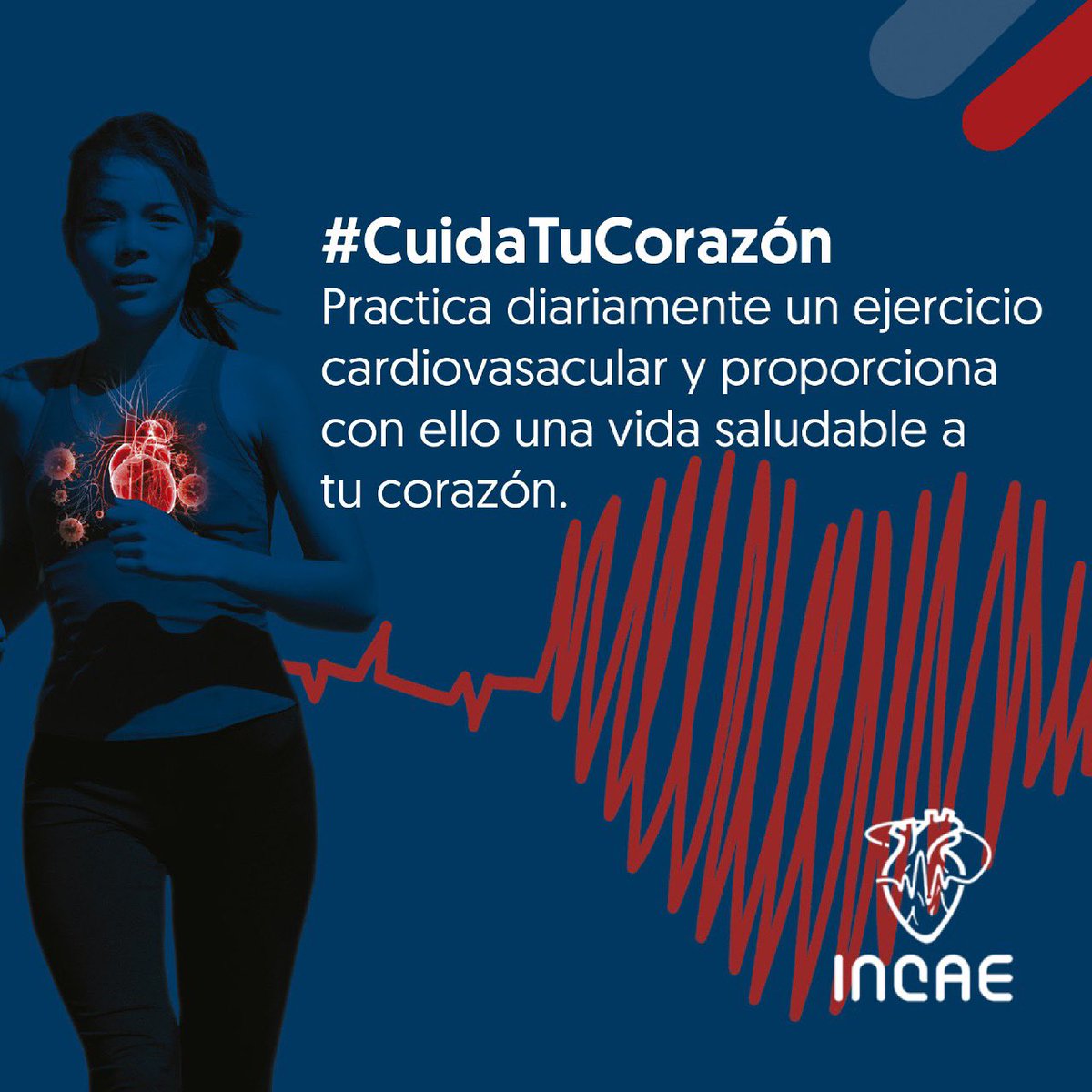 incaerd's tweet photo. El chequeo preventivo te dará por resultado una vida cardiovascular saludable. llámanos 809-807-0015

#INCAE 
#CuidatuSalud https://t.co/qeAHzOX2Qz