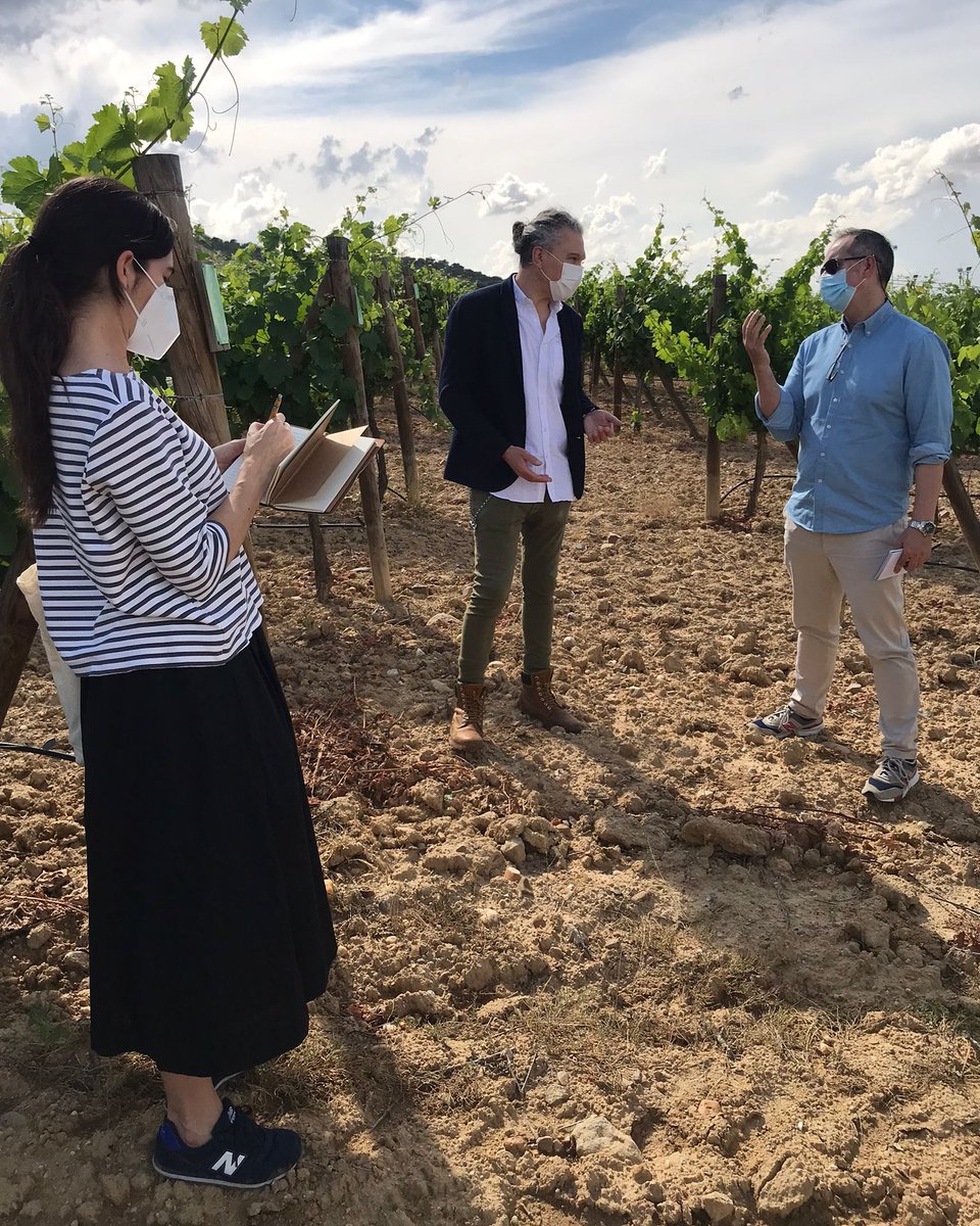 jcelmundo's tweet photo. Desconectando del mundanal ruido en el @Valbusenda, un hotel entre viñedos. Situado en el corazón de la D.O Toro (Zamora), cuenta con bodega propia y un "wine spa" con exclusivos tratamientos de vinoterapia. Riquísimo el arroz a la zamorana que sirven en el restaurante Nube! https://t.co/46MN3sgClW