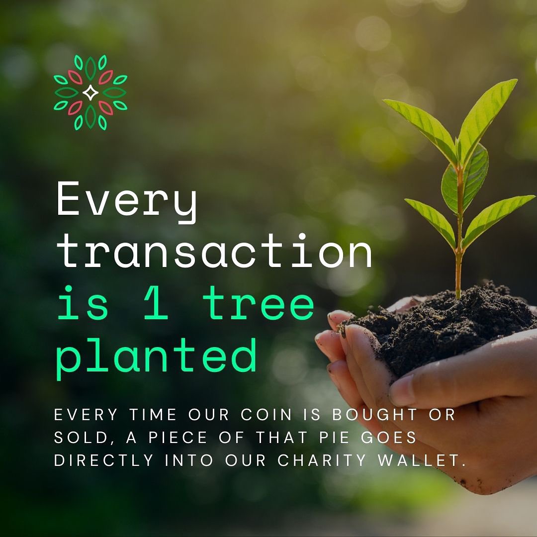 Safeforest2021's tweet photo. A crypto currency that plants a new tree for every transaction. Welcome to SafeForest 🌲
We believe by focusing on improving our planet and creating an environmentally friendly currency, we will be able to cherish our planet for future generations 🌿
#safeforest https://t.co/AJgkJNOc7s