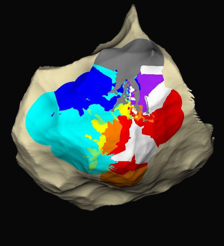 Srijan Shrestha tweet media