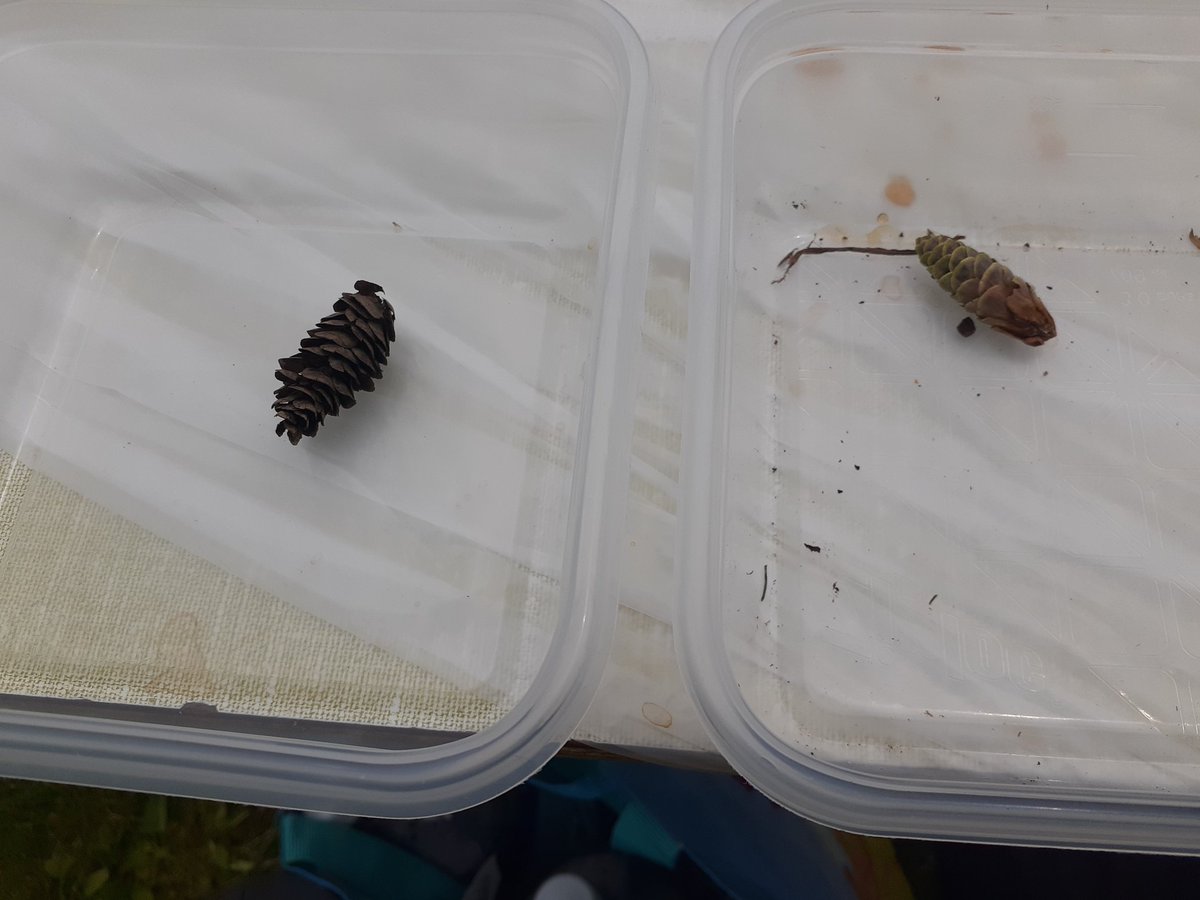 Melissa Henderson tweet media