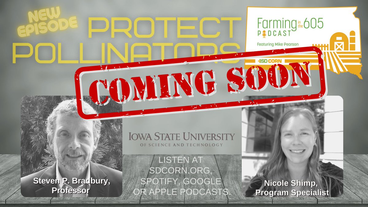 farminginthe605's tweet photo. For #PollinatorWeek starting Monday, @PearsonCattle talks to the #entomology experts at ISU about the positives of these "pests." Make a 🐝bee-line back here to listen in come Monday morn! #Podcast #episodes on https://t.co/GAPGo6zBIJ, Spotify, Google &amp; Apple Podcasts. https://t.co/fb4ZanPMjz