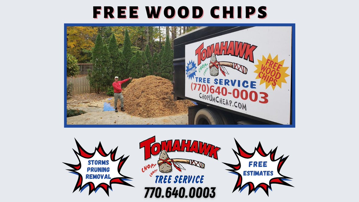 TomahawkTree's tweet image. Thanks to customer referrals our schedule stays full which means our trucks are constantly filling up with beautiful wood chips! ...Need some for your home, give us a call to get on our list.
#treeservice #treepruning #treecare #treeremoval #sandysprings #atlanta #marietta