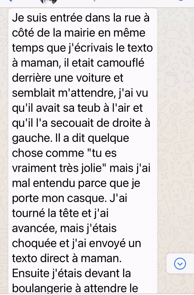 Cécile Duflot ❄️ tweet media