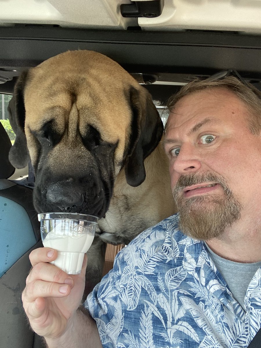 LifeStrategy101's tweet image. Thank you @DairyQueen for Samson’s first (and last) Pup Cup. #thehorror