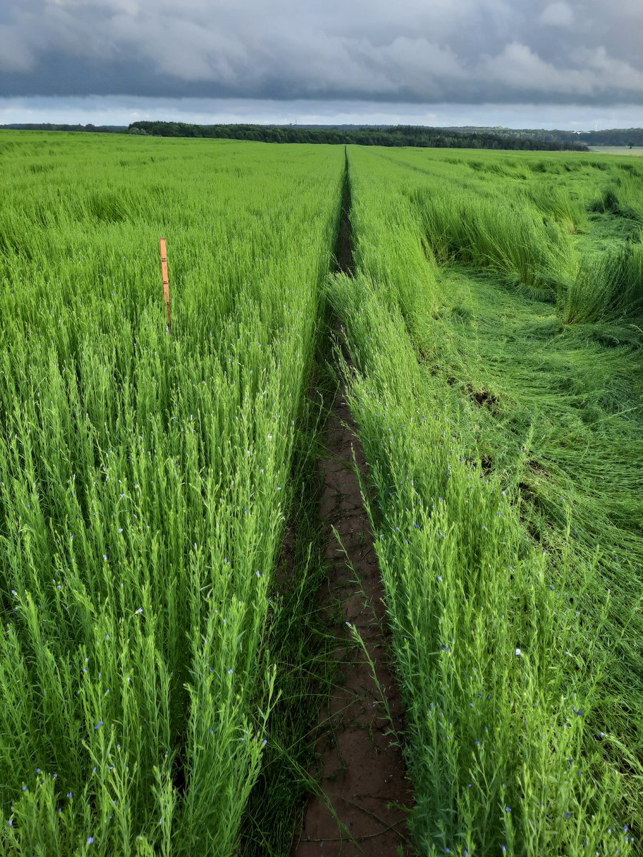 Lievens Gilles 🌻💙💛 tweet media