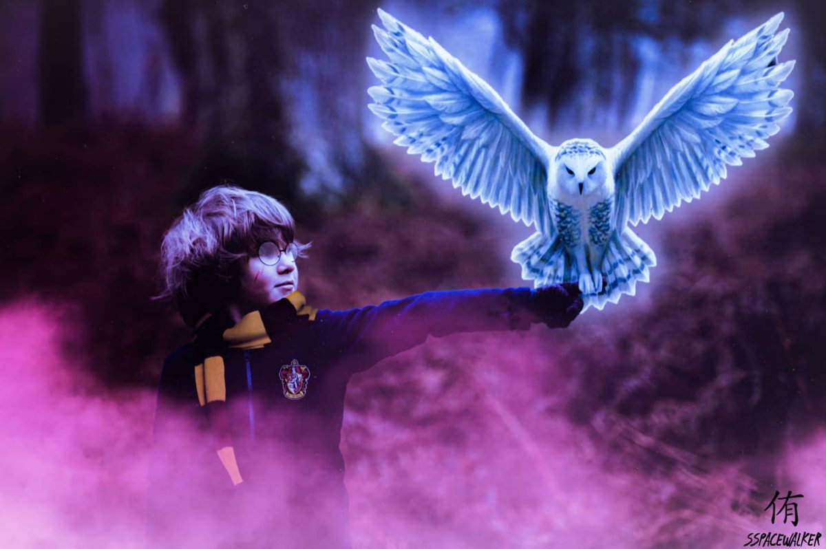 Sspacewalker_'s tweet photo. "It does not do well to dwell on dreams and forget to live." -Albus Dumbledore
•
•
[Tags]
#harrypotter #gryffindor #Ravenclaw  #hufflepuff #Slytherin #magic #edit #photoshop #hermionegranger #ronweasley #dumbledore #photography #magic #hogwarts #aftereffects https://t.co/fwyrUMMDCD