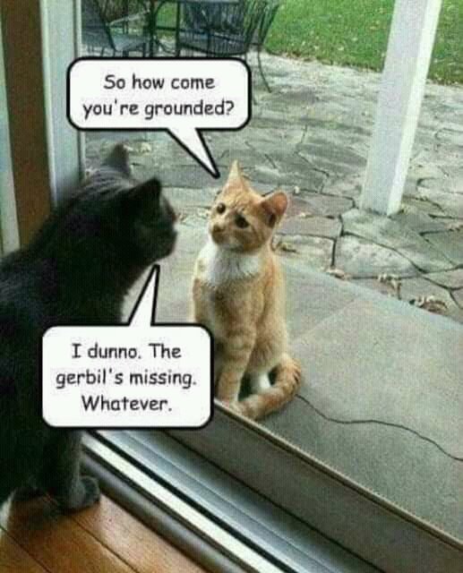ChampneyLisa's tweet image. #HowISolveProblems
Grounding! 😎