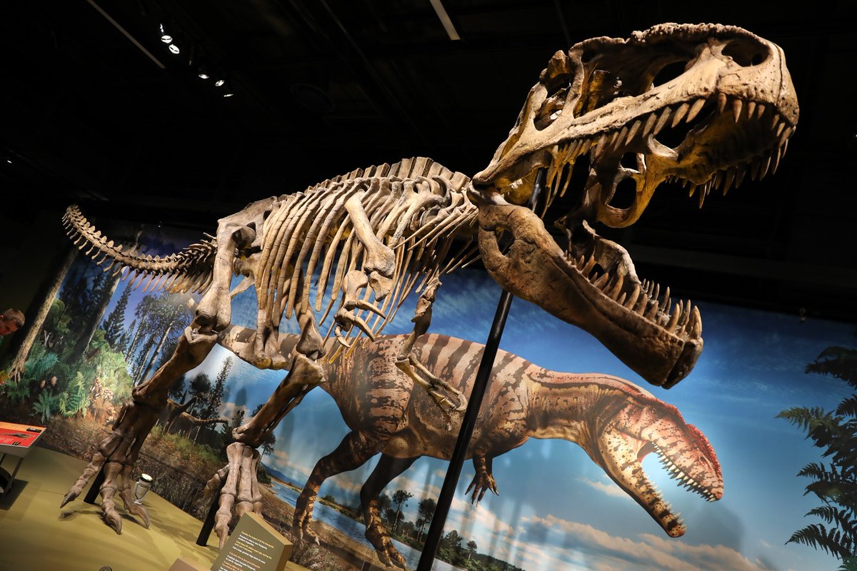 superworldapp's tweet photo. CitySpotlight: #Denver,🇺🇸

Plots all over Denver are on sale for 0.1#ETH in #SuperWorld including #NFT land encompassing:

#DenverMuseum🏦
#DenverPublicLibrary🏰

FREE bonus plot with 1st purchase!

Explore properties at https://t.co/YJkTKD4z19
#token #nftcollector #AR #nftart https://t.co/lQ4k2bLxiB