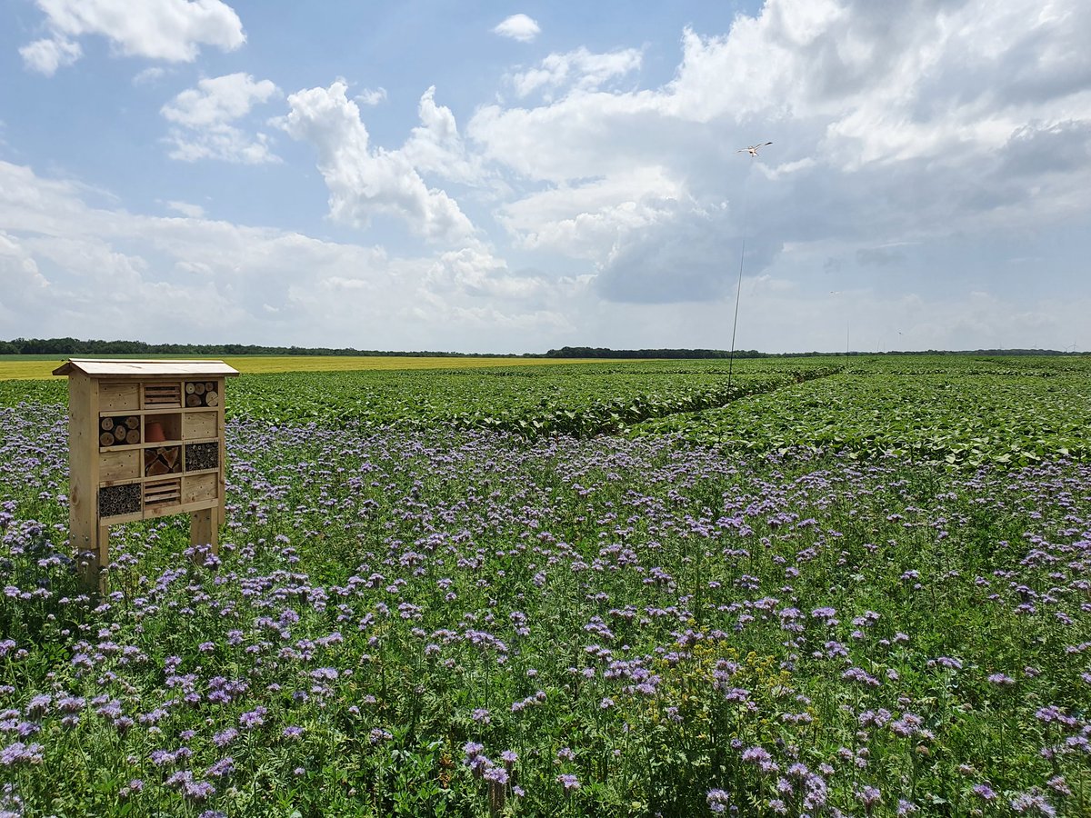 Alban Bigeard - Adama France tweet media