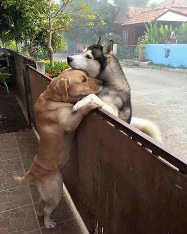 ChampneyLisa's tweet image. #HowISolveProblems Hugs help! 🤗