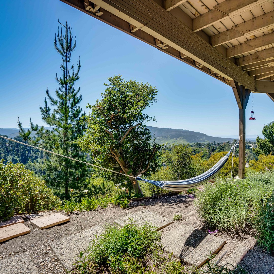FullFrameAgency's tweet photo. Laying in this hammock doesn't seem so bad.... https://t.co/pU5FapPX2Z