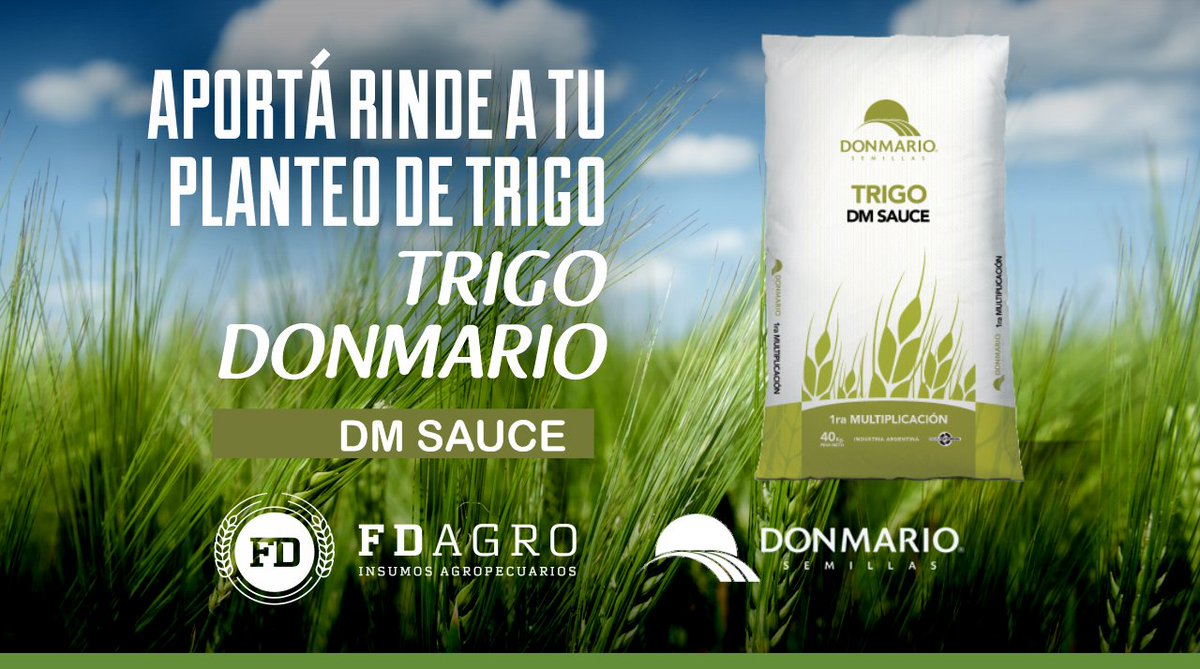 FDagrosrl's tweet photo. 𝙋𝙚𝙣𝙨á 𝙚𝙣 #TrigoDM, 𝙥𝙚𝙣𝙨á 𝙚𝙣 #DMSauce de @donmariosemillas 🌾
🌾 Ciclo Intermedio-Largo
🌾 Altísimo potencial de rendimiento
🌾 Reemplazo de #DMAlgarrobo
🌾 Buen comportamiento sanitario
🌾 Grupo de calidad 2
Contactanos para ser asesorado por nuestro equipo 🙋♂️ https://t.co/GXe9YusNsl