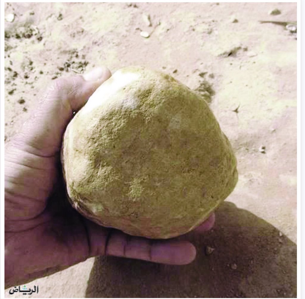 لاحظت أن أغلب المتداولين 
في #السوق_السعودي  
 مثل : (رضّاح العبس) 
يصبر على سهمه سنة سنتين ثلاث .. وأول مايجيه رأس ماله
يخاف من #تاسي  ويبيع 
• رضاح العبس هو من يتوقف عن الشيء في اللحظة الأخيرة .
يقولون بأنه رضح 99 عبسة وحينما تبقى واحدة قال تعبت وأجل رضحها للغد 😂