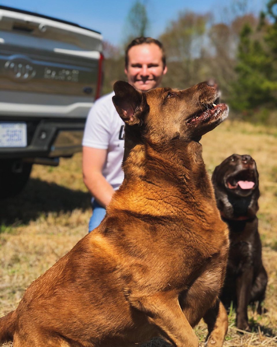 ColeCuster's tweet photo. ONLY 2️⃣ MORE DAYS to donate $41 to @code3associates and get your name on my No. 41 #FordMustang for @amsupdates!
Visit https://t.co/9QuxaWN6K6 to donate!!!
#RacingForAnimals #DisasterCapable #NASCAR #QS400 https://t.co/vhQ5Oi47RE