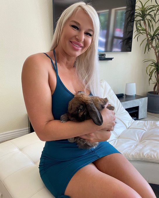 Went to work. Found a bunny. I&rsquo;m going to die from all the cute. https://t.co/jU2I39KZTK