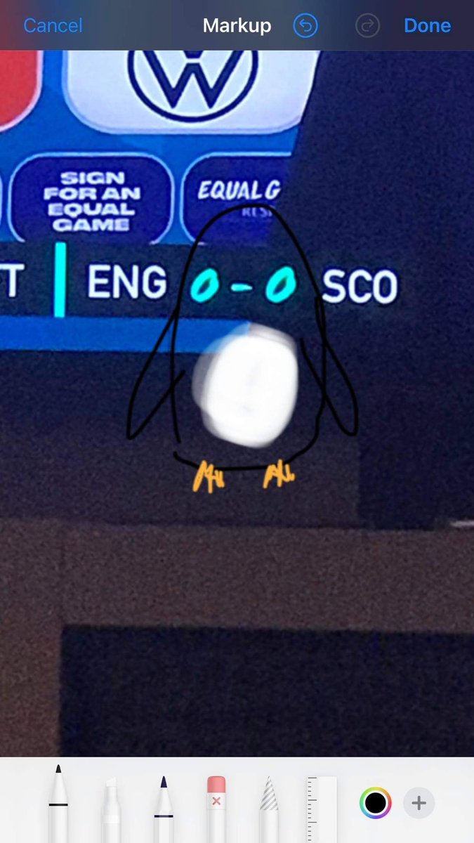 Most interesting bit about this game #EURO2020 #boringgame #littlebird