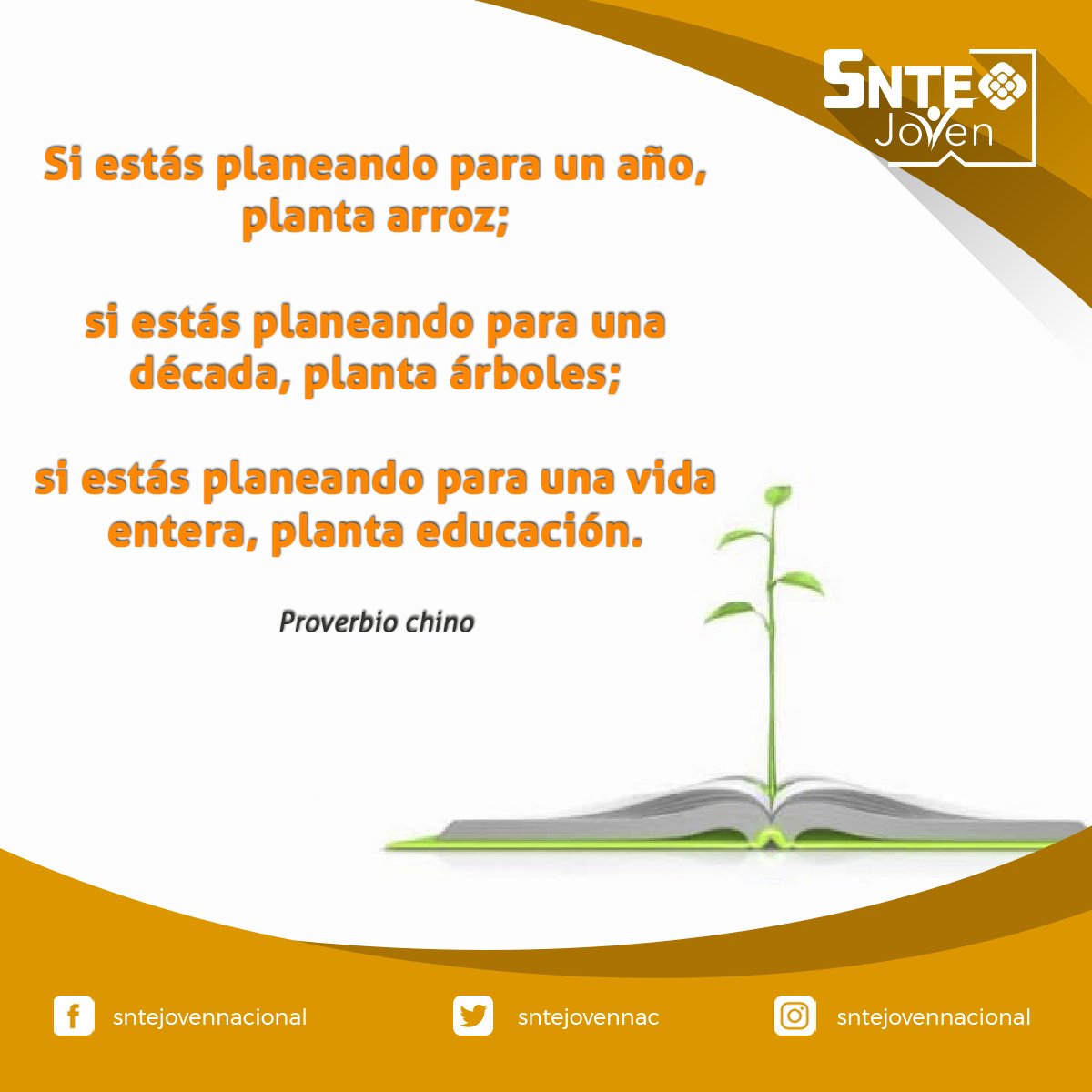 Los maestros cultivan enseñanzas para cosechar educación.